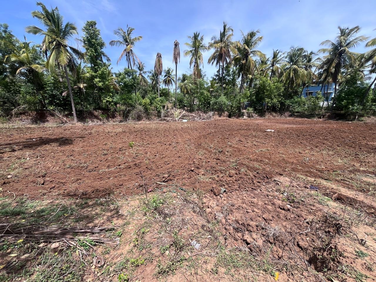 Farm environment and cow care