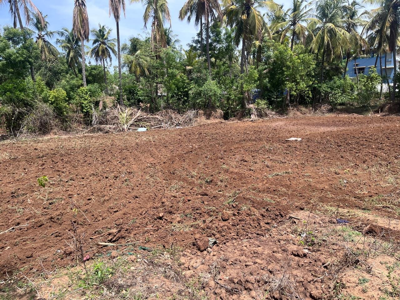 Pular Farm fresh milk production